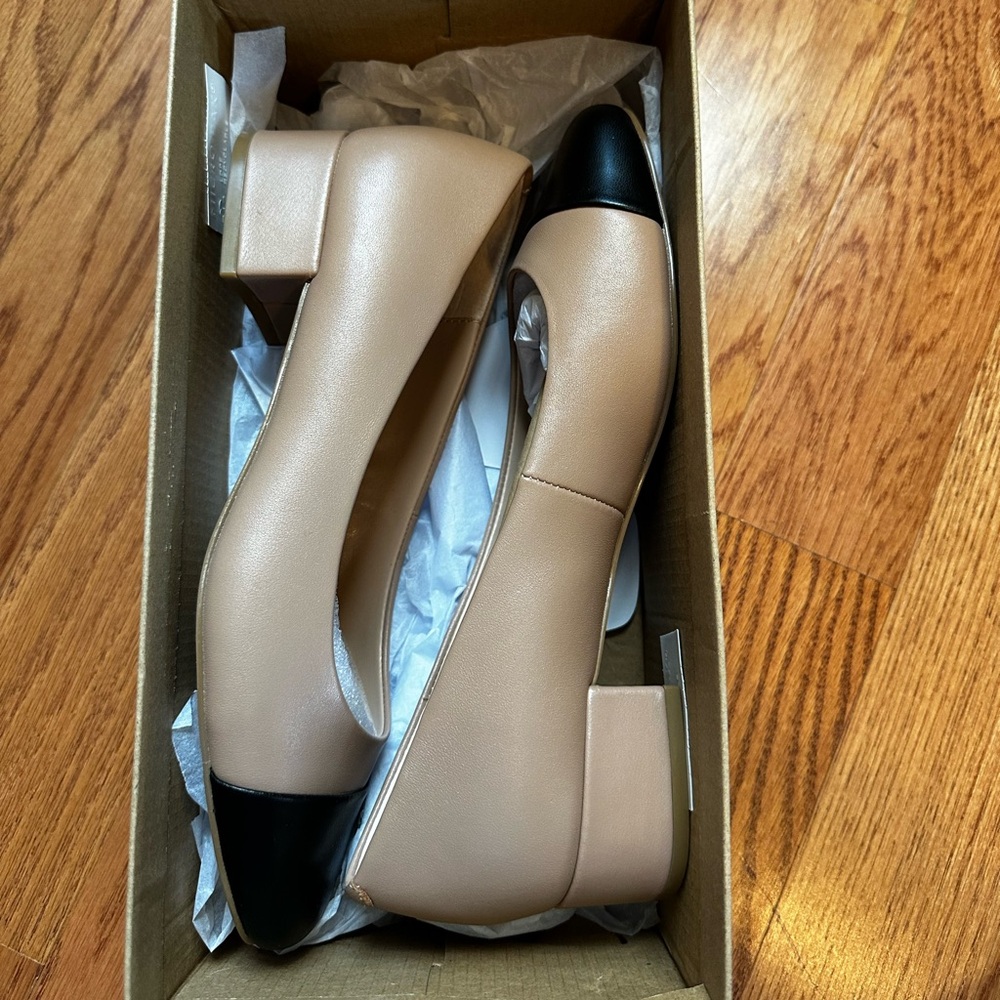 New in box Steve Madden Smyrna pump low heel toe cap